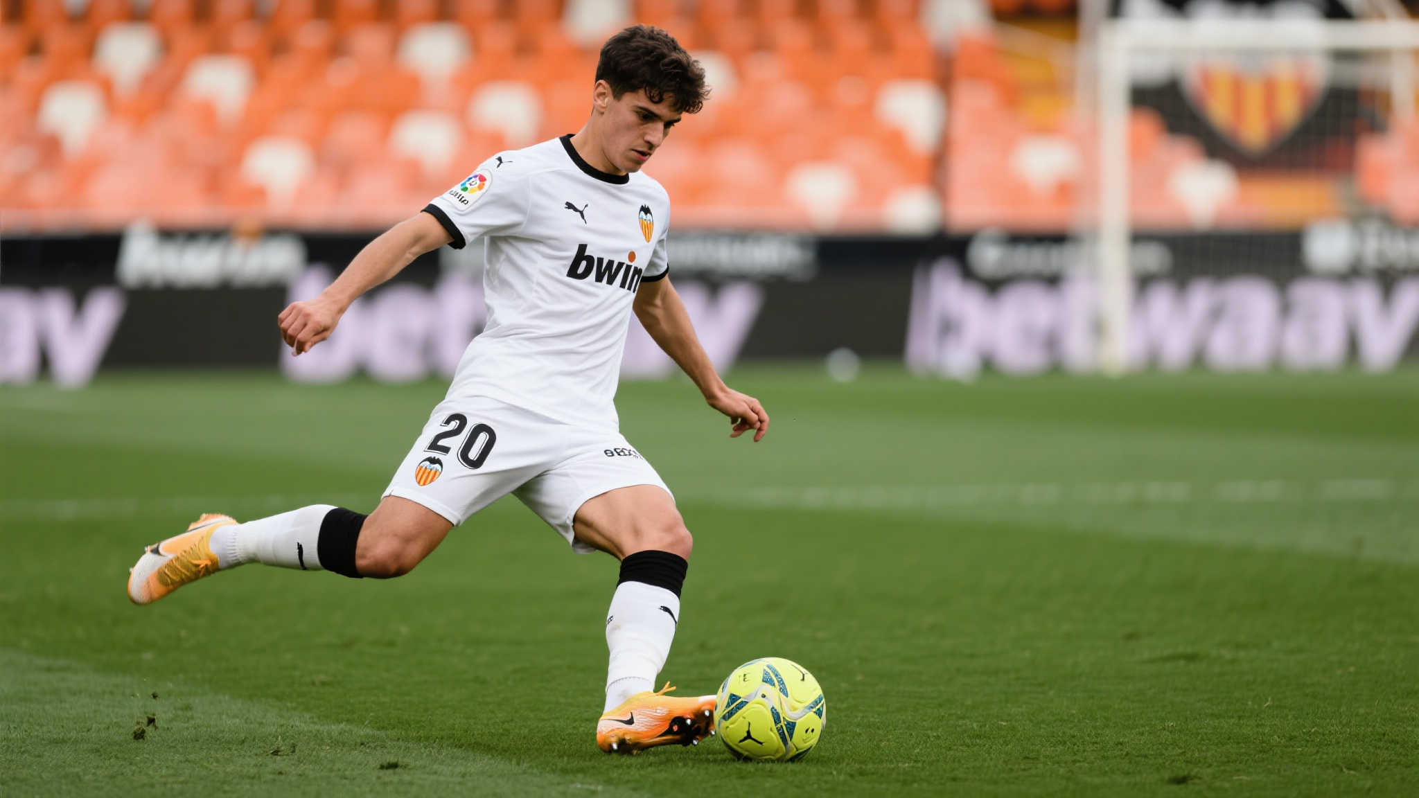 支持各级国 支持各级国